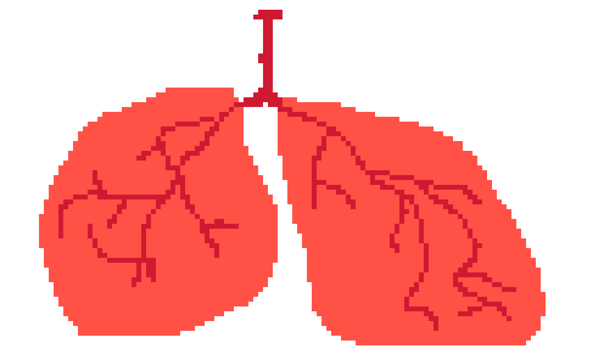 [401978] PIXEL LUNGS