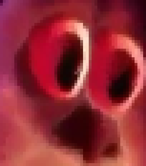 [032640] Hey guys Quandle Dingle here and im here to announce that Jero is a furr- *explodes*   -Ash/Ashley, with a Changed ID