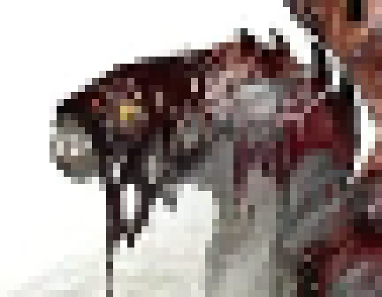 [816c09] This shit is like the fucking bumblebee- "the bumblebee's small wings and heavy body should prevent it from flying."