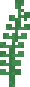 [e9adc8] seaweed_3