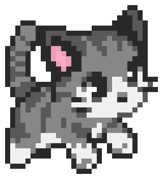 Cute Cat 