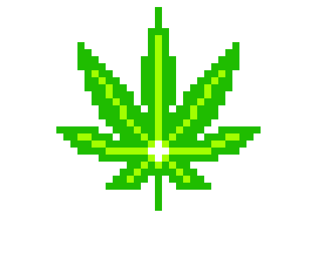 SHMOKE WEED EVERY DAYYY - Xavier