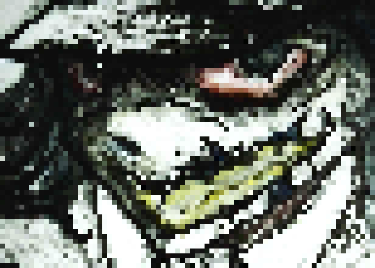[4b4868] try naner ice cream whenever its in my system. I am addicted ]]. . . . . . . . . . ... -[[Landa.collins]]-.......[-Hollett]