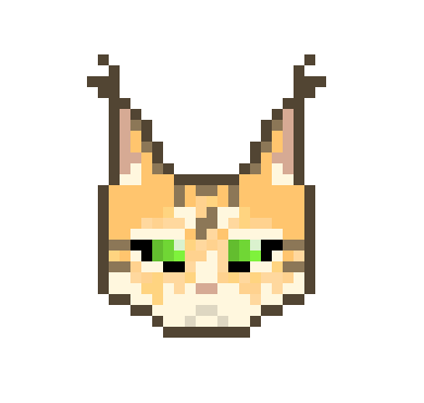 [050f15] GingerCoon PFP