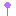 [9664c4] flower_allium