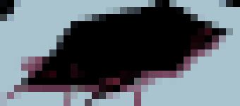 [691fe2] it's almost 2am j e s u s   -Ash, with a Changed ID