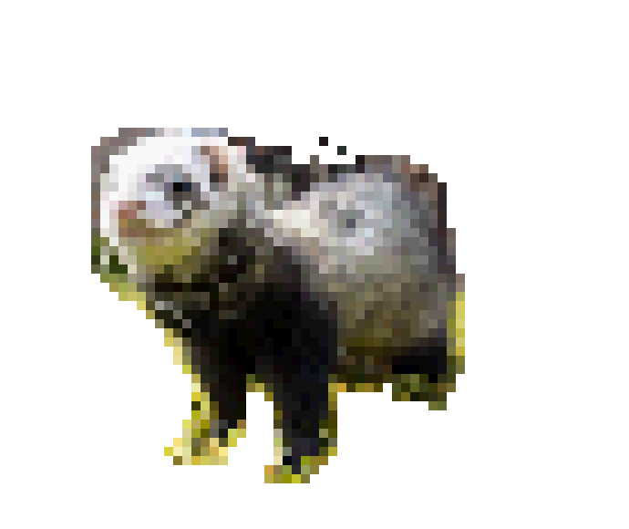 [56380d] ferret