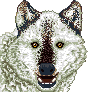 [b8710f] animal_nhung_7