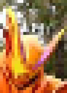 [2171d6] OverGavv