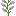 [9664c4] double_plant_syringa_bottom