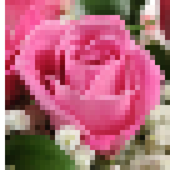 [ce7fe6] Untitled