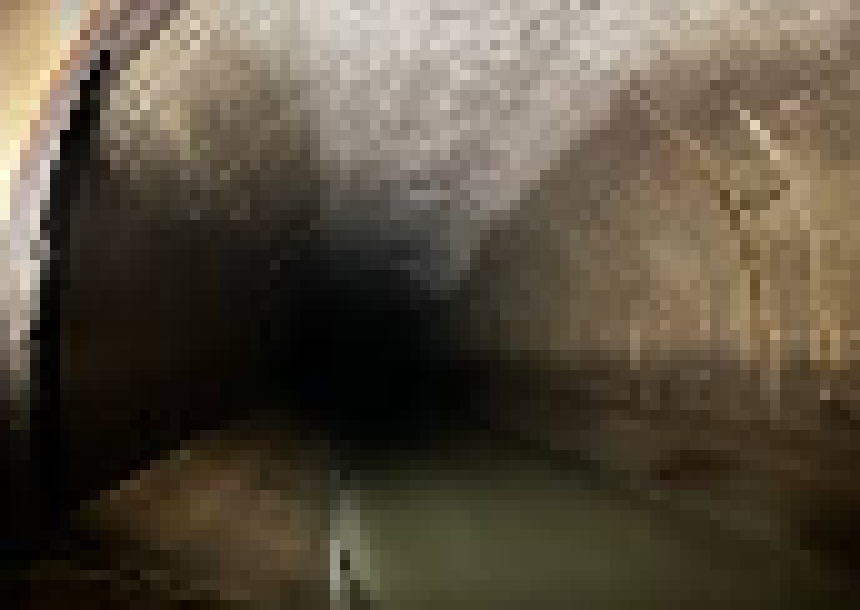 [bce8e5] john and jimmy and danger and bloob and misuti move east. there are tunnels west and north. 