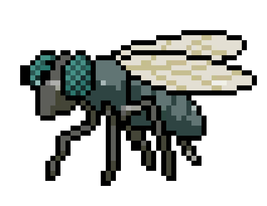 [93cf02] fly_1