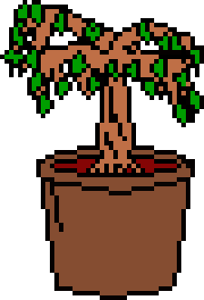 [64ebe9] Willow Tree (Potted)