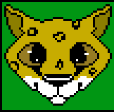[9664c4] Cheetah