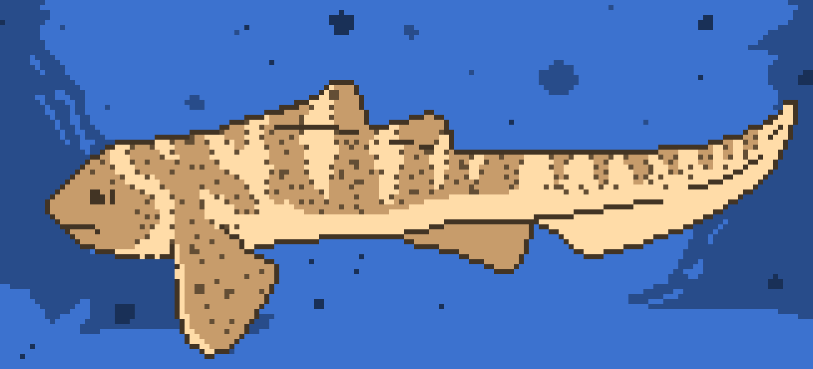 [9ee7f3] zebra shark