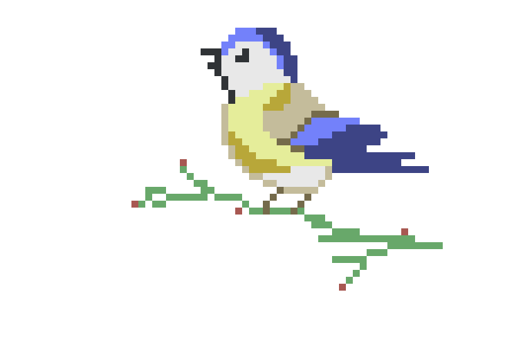 bird