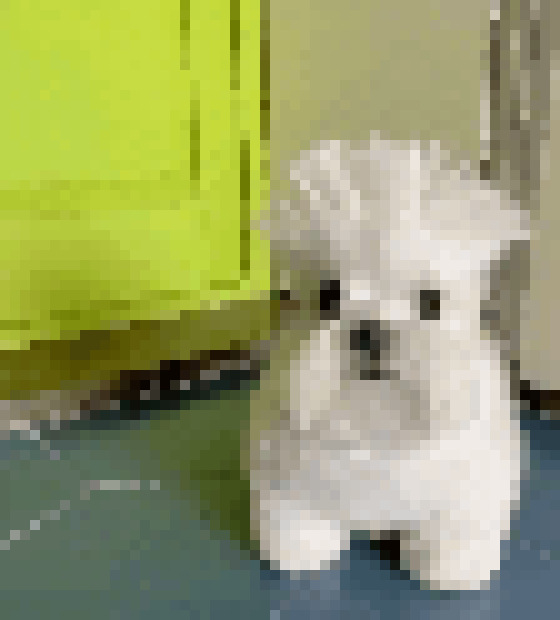 [f5254f] Bmo can you draw this one