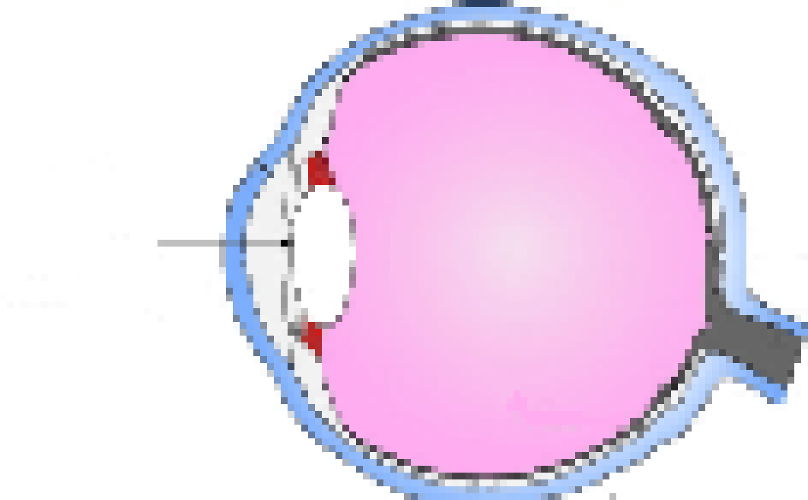 [72e9c3] eye