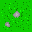 [76839a] grass