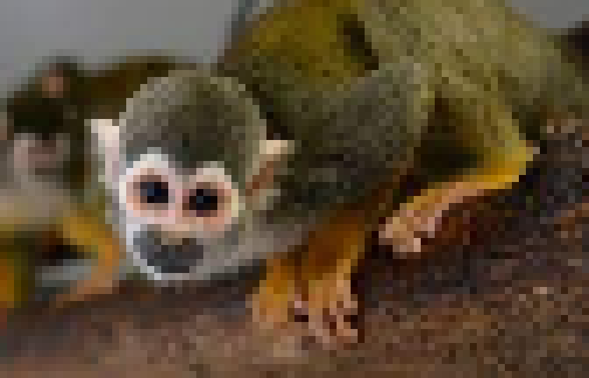 [9e9a7c] ee