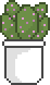 [9664c4] A plant