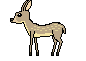 [04d215] Deer