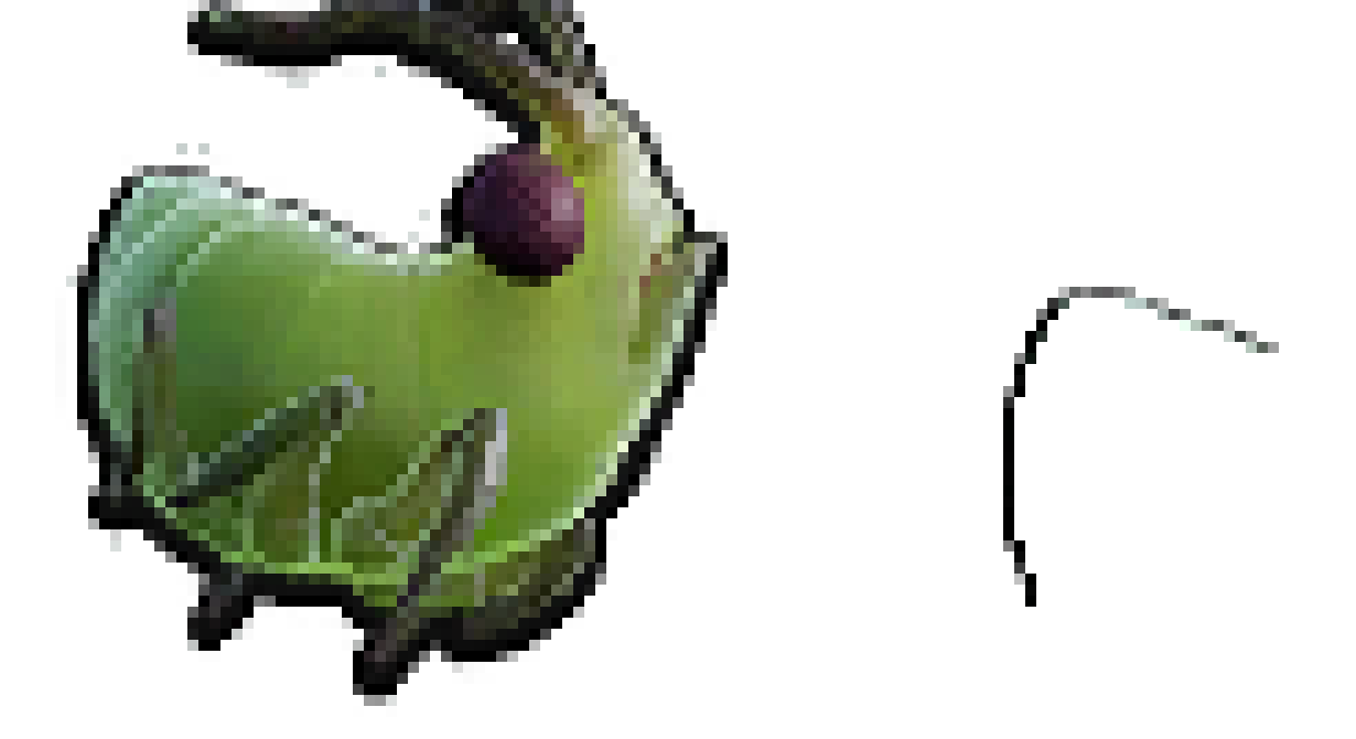 [01bb5a] aphid