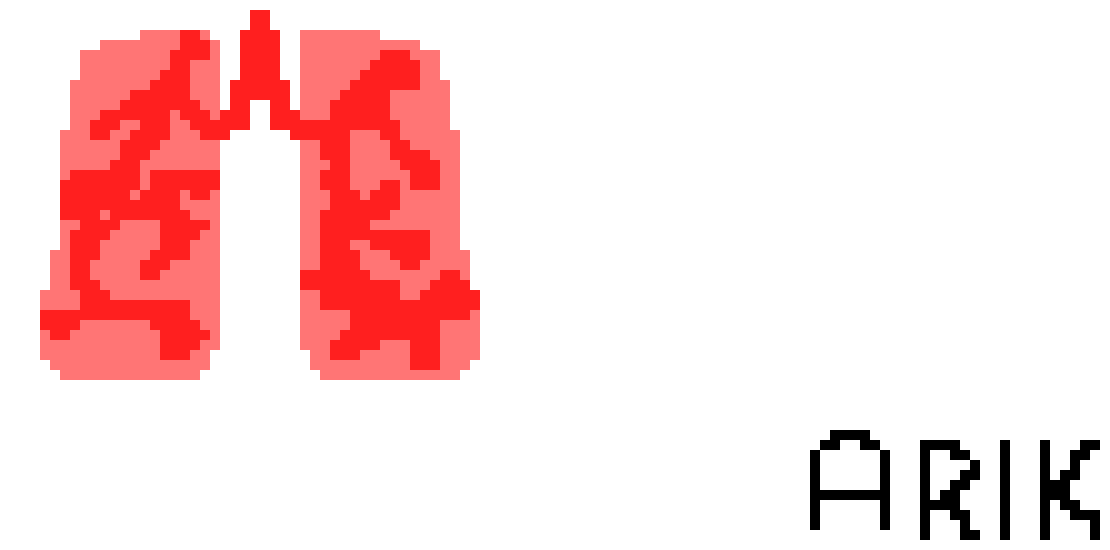[2b4978] Pixel Lungs