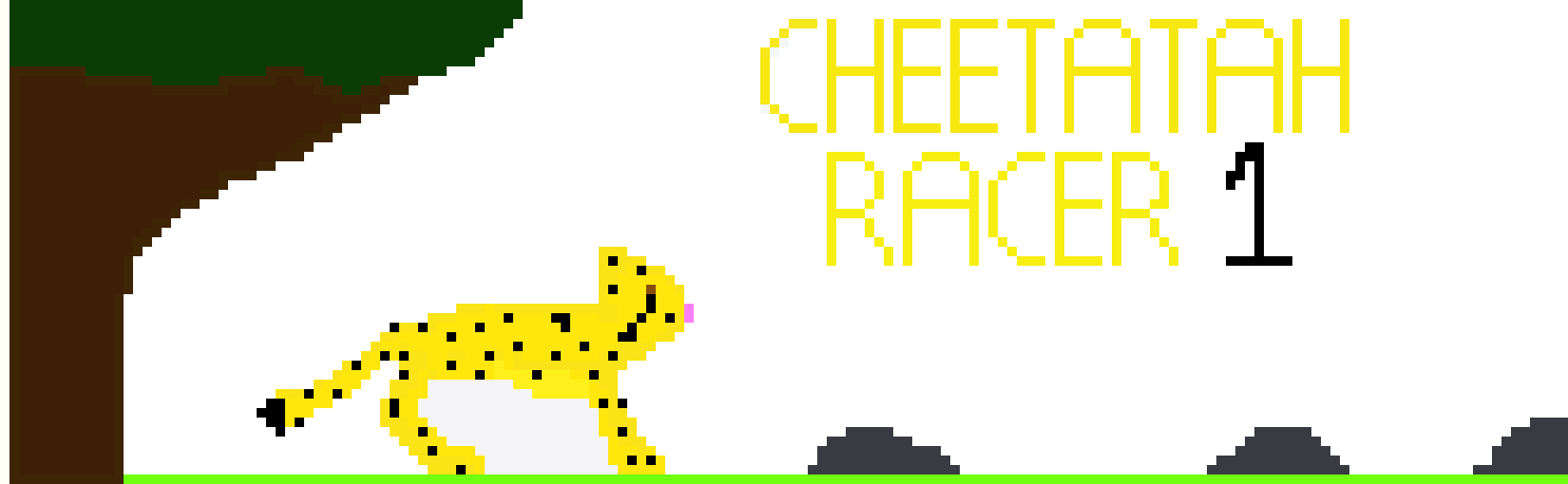 [322634] CHEETAH