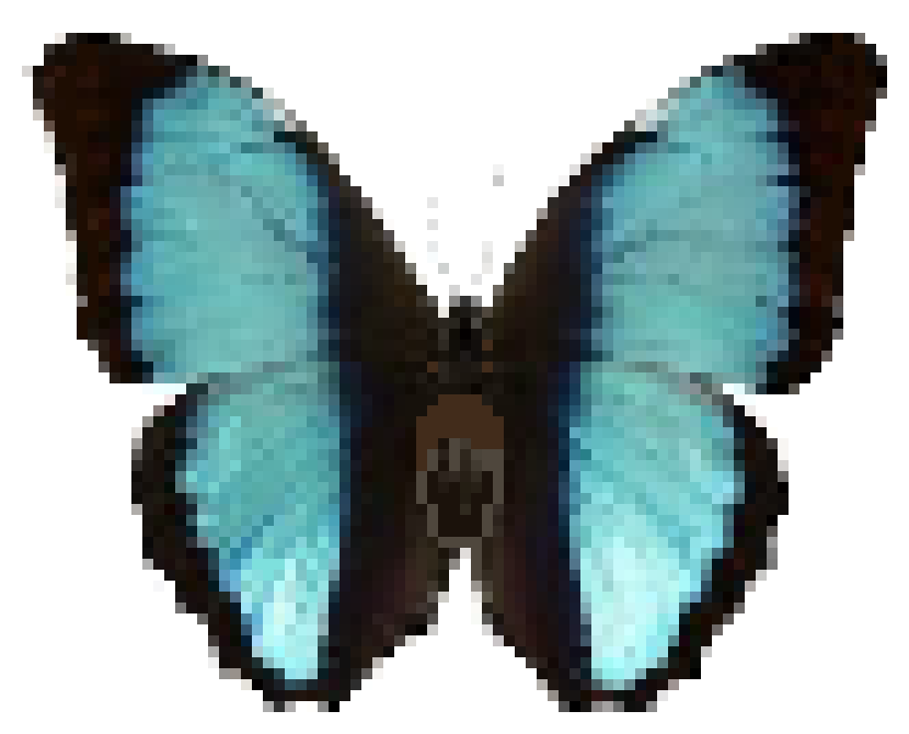 [a52768] butterfly
