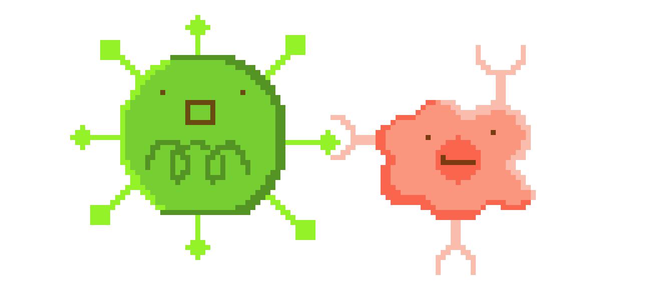 [33e540]  B-cell and virus