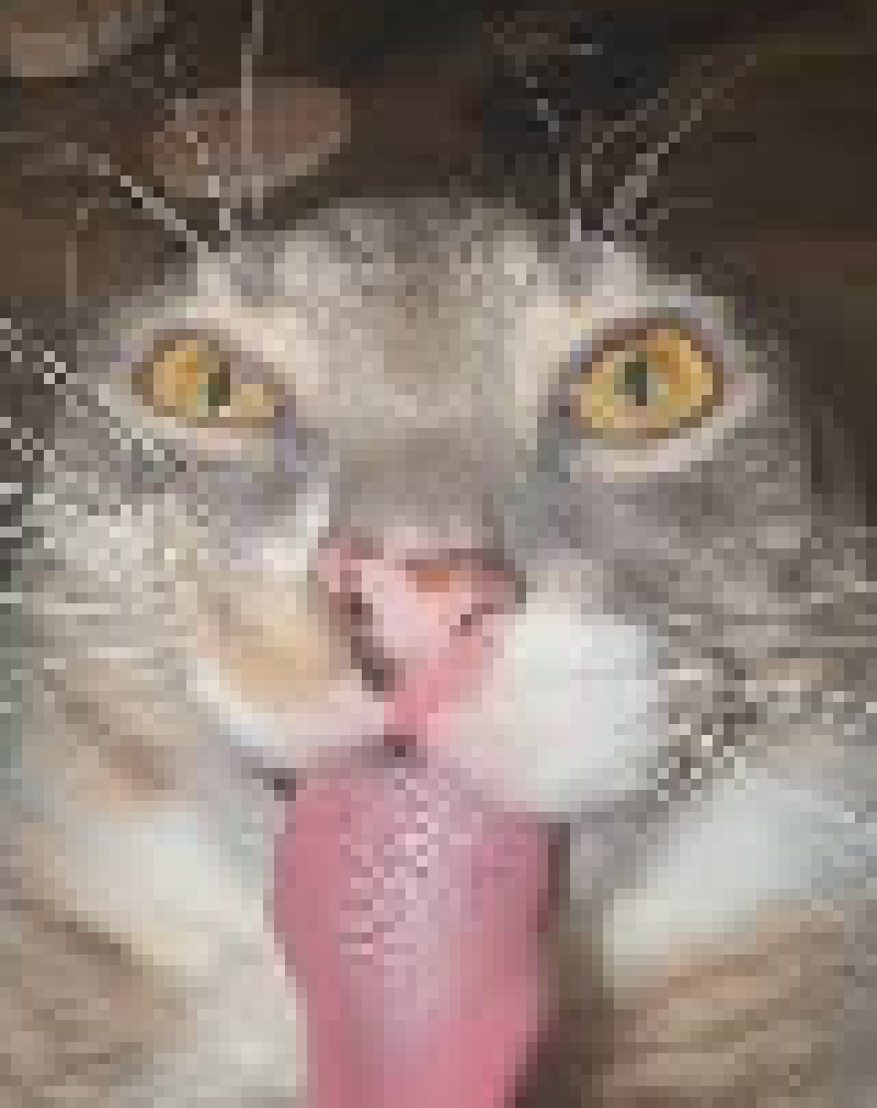 [91d61f]    shimmy shimmy ya  shimmy yay shimmy yah (drank) swalalala (drank) swalalala (drank falalalala