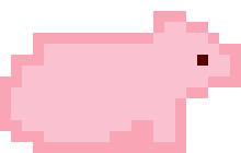[98d342] PIG