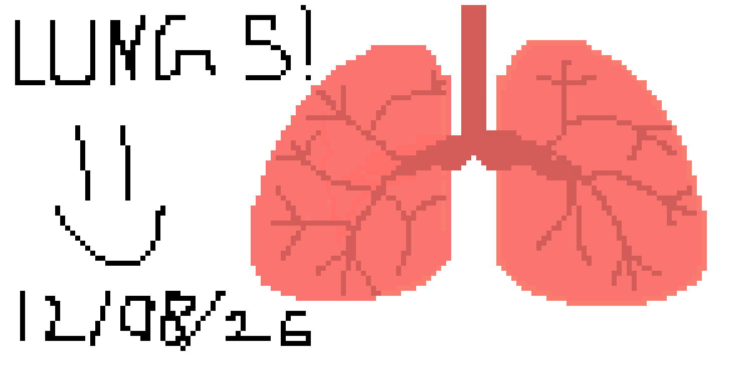 [576e45] Pixel Lungs! First Pixel! 12/08/2026! Wednesday!