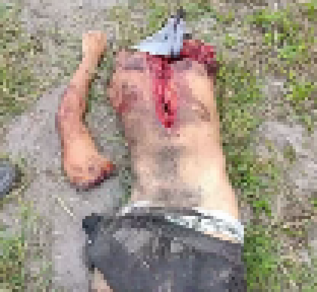 spam countered with one gore post