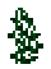 vines