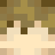 [f0f15f] Grian Faceless v2