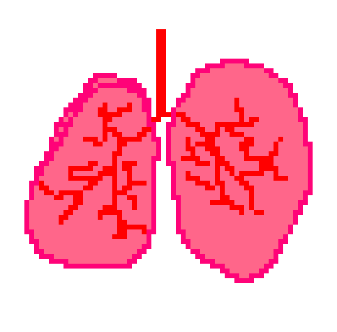 [401978] Pixel Lungs