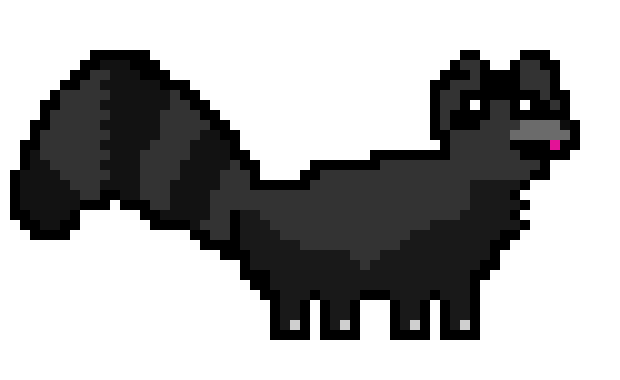 raccoon