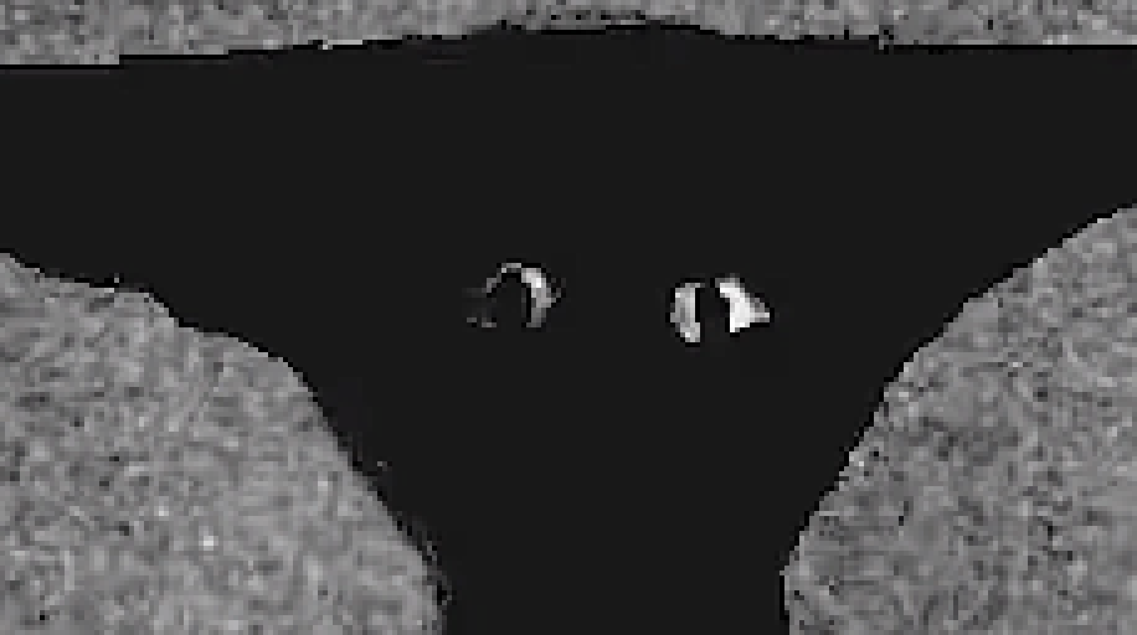[82d819] it seems interesting so ok i agree to the contract, plagiarism devil