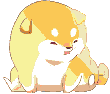 [9664c4] shiba