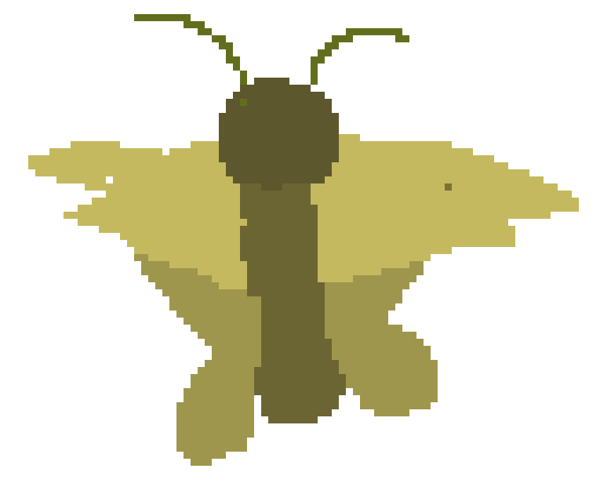 [2017a5] Moth