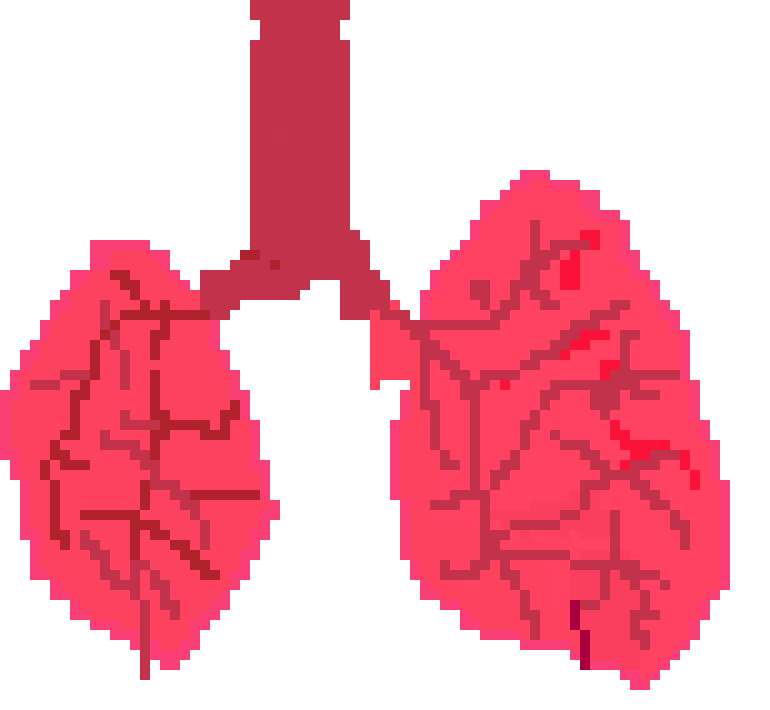 [94df89] lungs