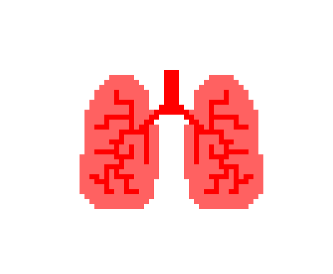 [2b4978] Lungs
