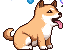 [f15231] animal_dog_55