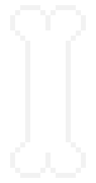 [9664c4] the bone 2