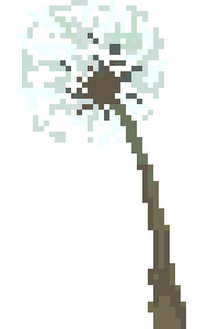 [100cc3] dandelion