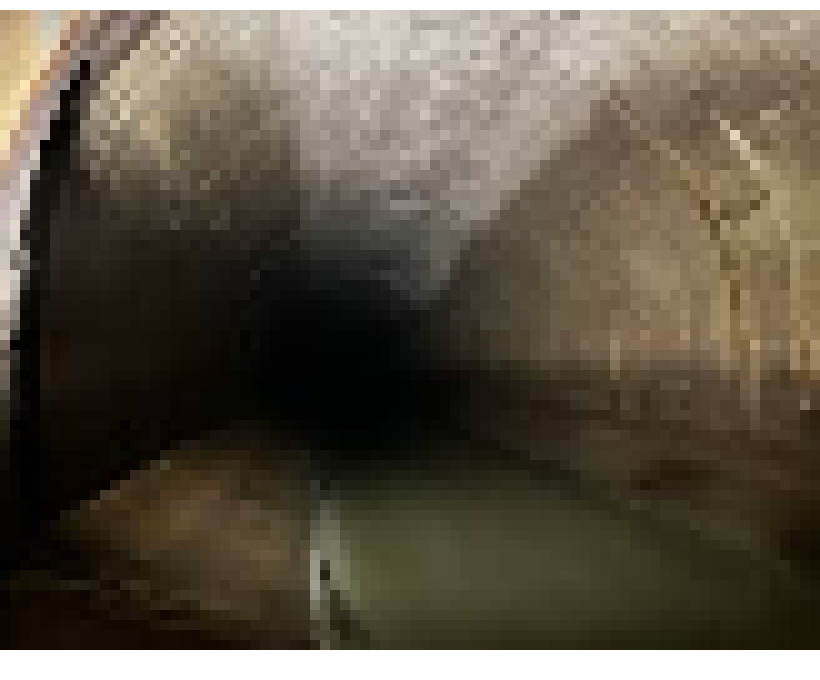 [bce8e5] lexi and dell and seemingly and danger and eku and misuti move south.