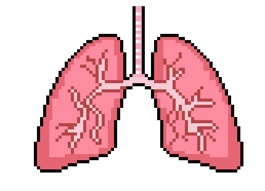 [9b0b43] PIXEL LUNG